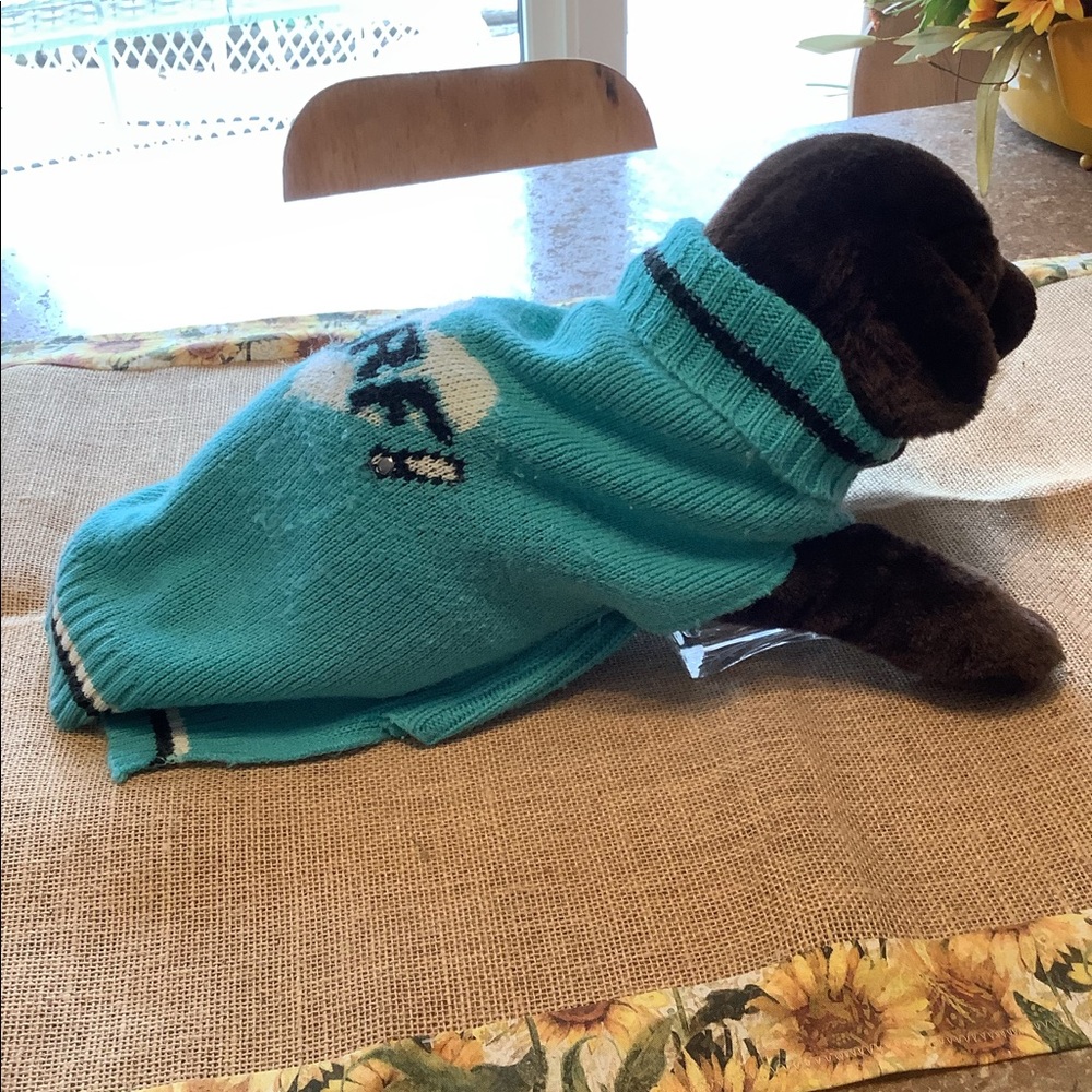 AQUA DOG SWEATER